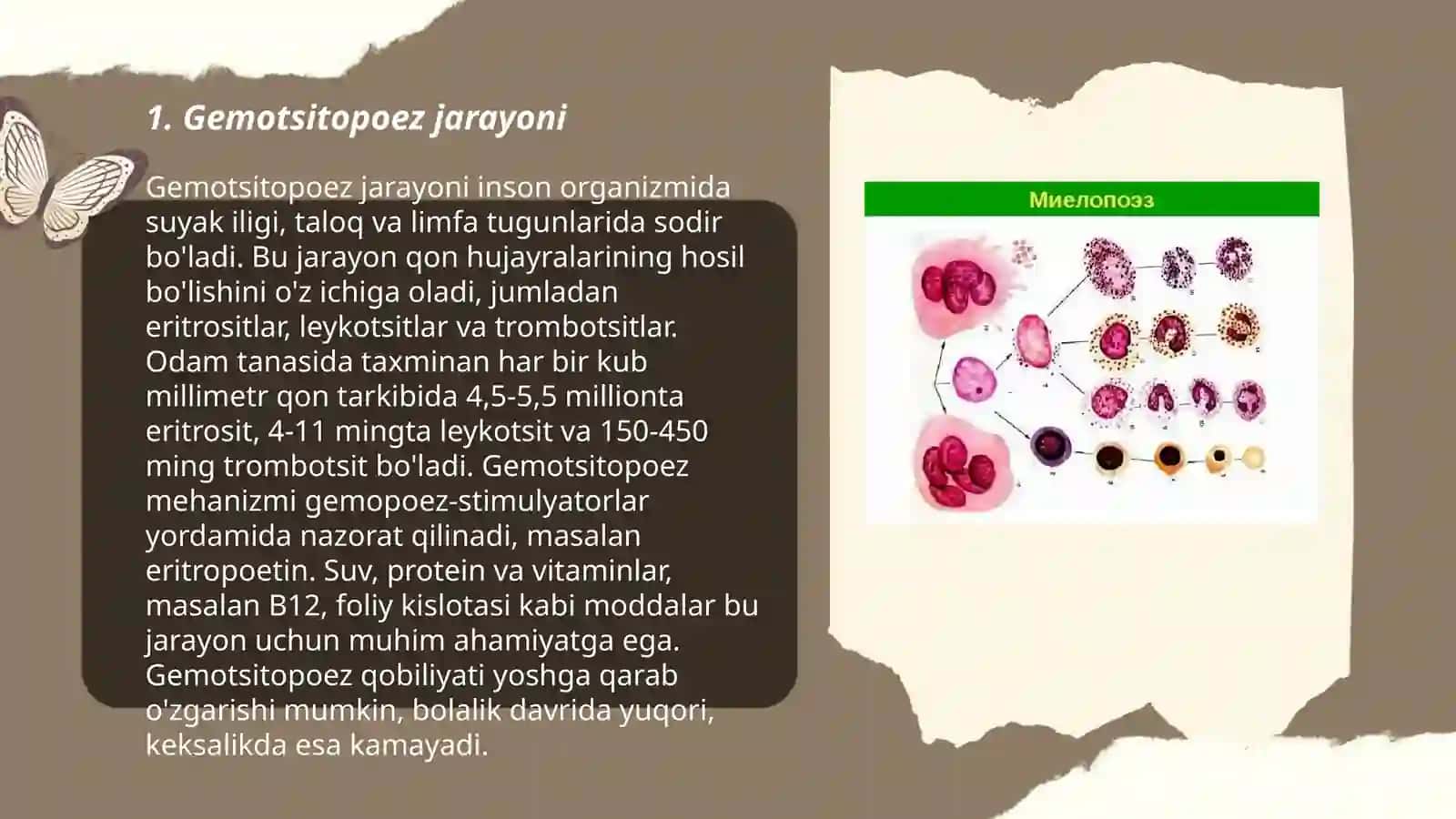 Gemotsitopoez 3