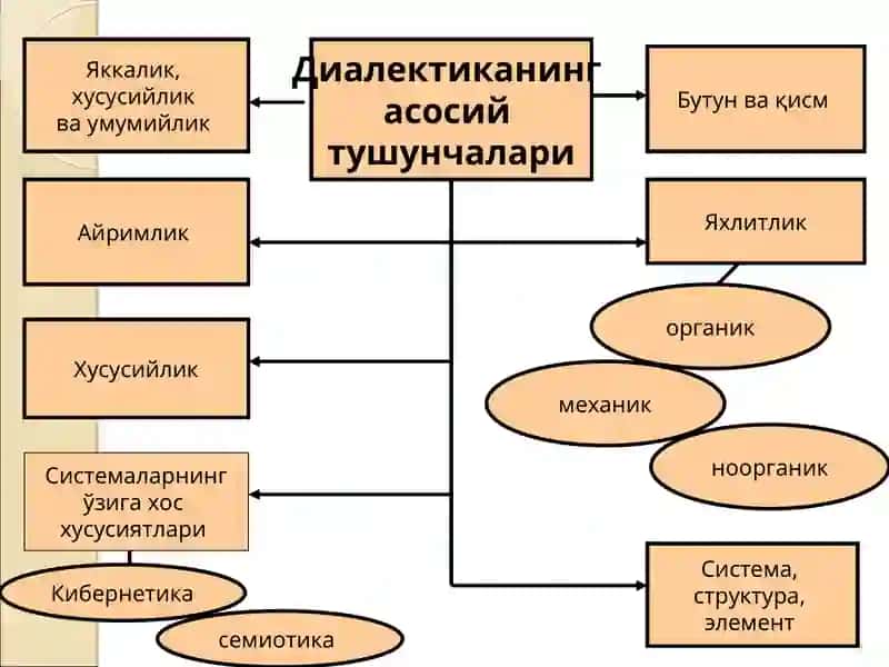 Ўзаро алоқадорлик ва ривожланиш қонунлари 3