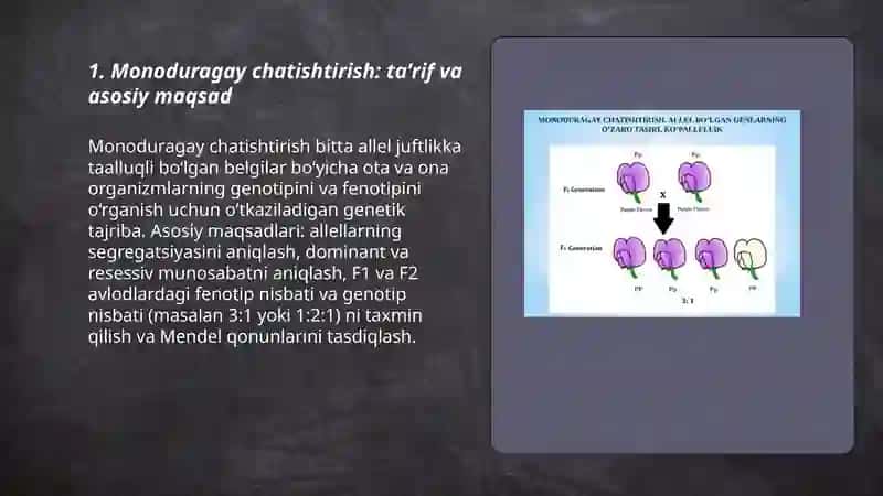 Monoduragay chatishtirish 3