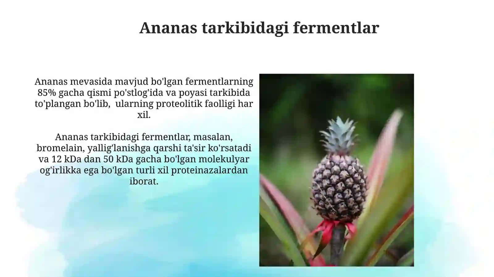 Ananas o'simligining antioksidant va kimyoviy tarkibi 3