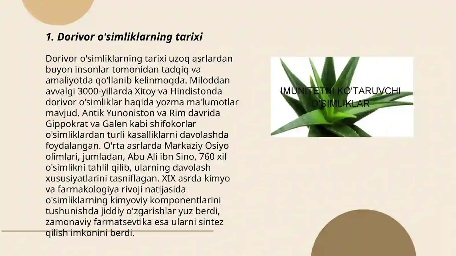 Qizul kitobga kiritilgan dorivor o'simliklar 3