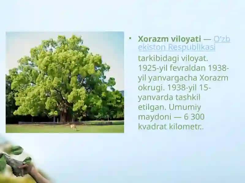 Xorazm vohasining tabiiy va antropogen dendroflorasi va uning klassifikatsiyasi 3