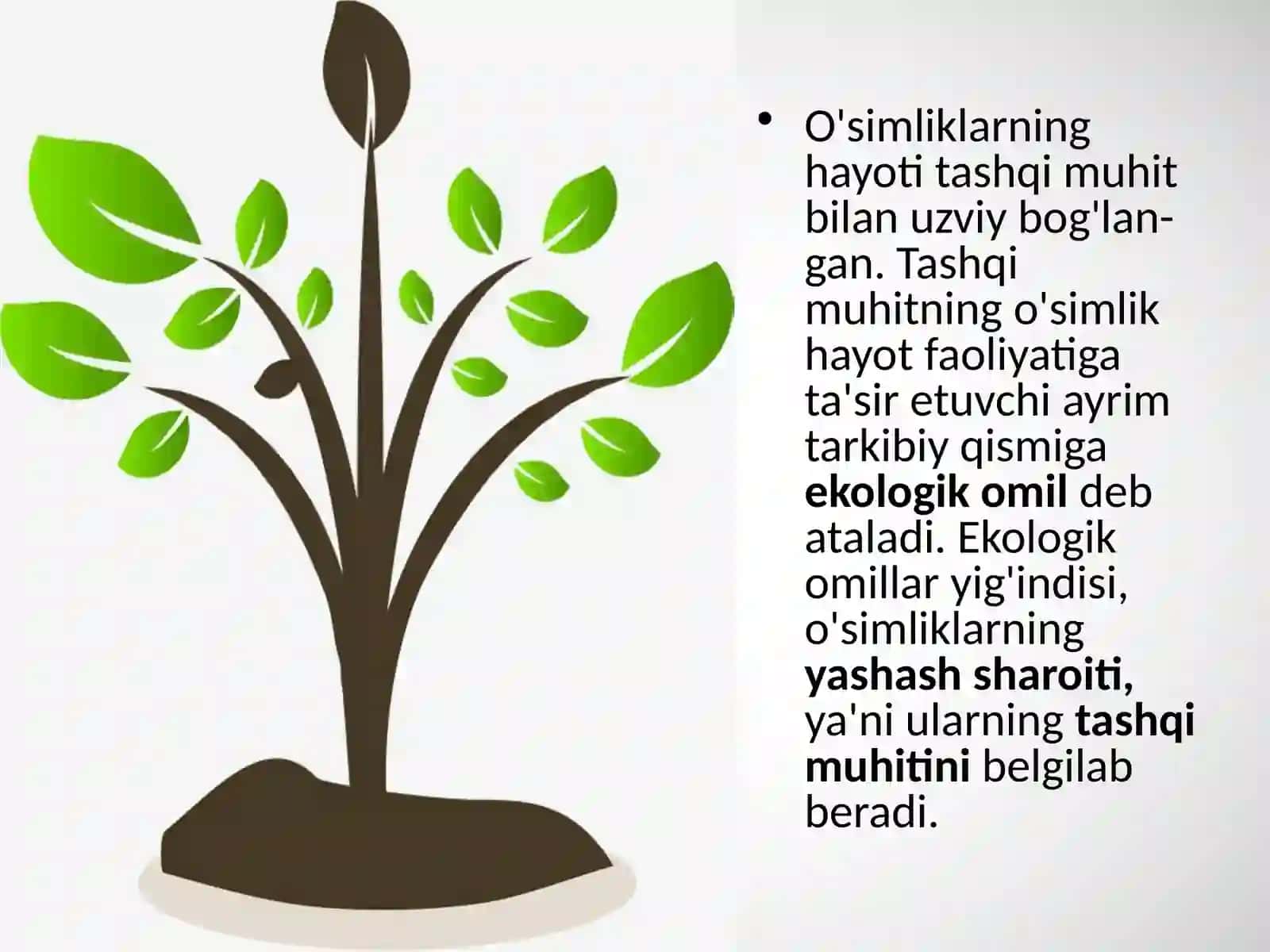 O'SIMLIKLARGA EKOLOGIK OMILLARNING TA'SIRI 3