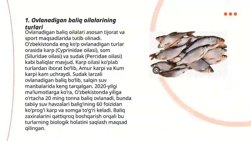 Ovlanadigan baliq oilalarini o'rganish 3