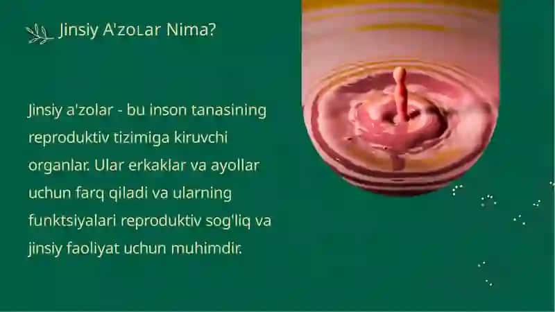 Jinsiy A'zolarni o'rganish uslublari va texnikasi 3