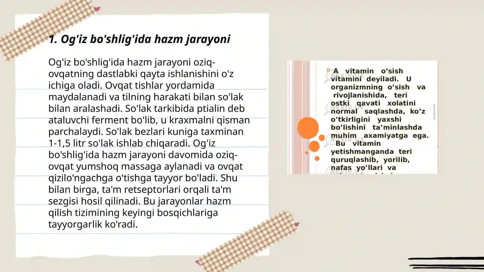 Ovqat hazm qilish sistemasi fizalogiyasi 3