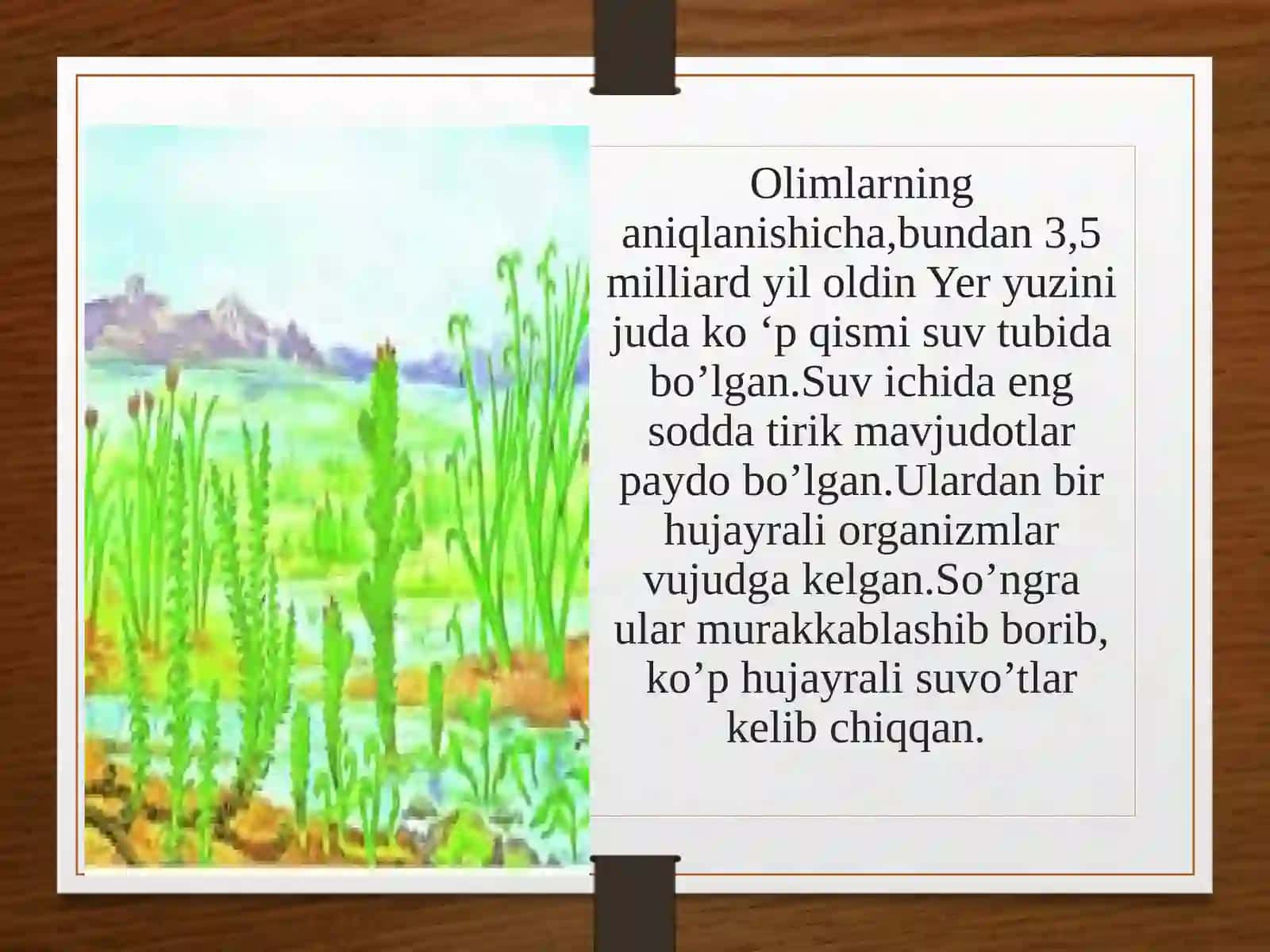6-sinf Botanika dars ishlanma. Yerda o'simliklar dunyosining rivojlanishi 3