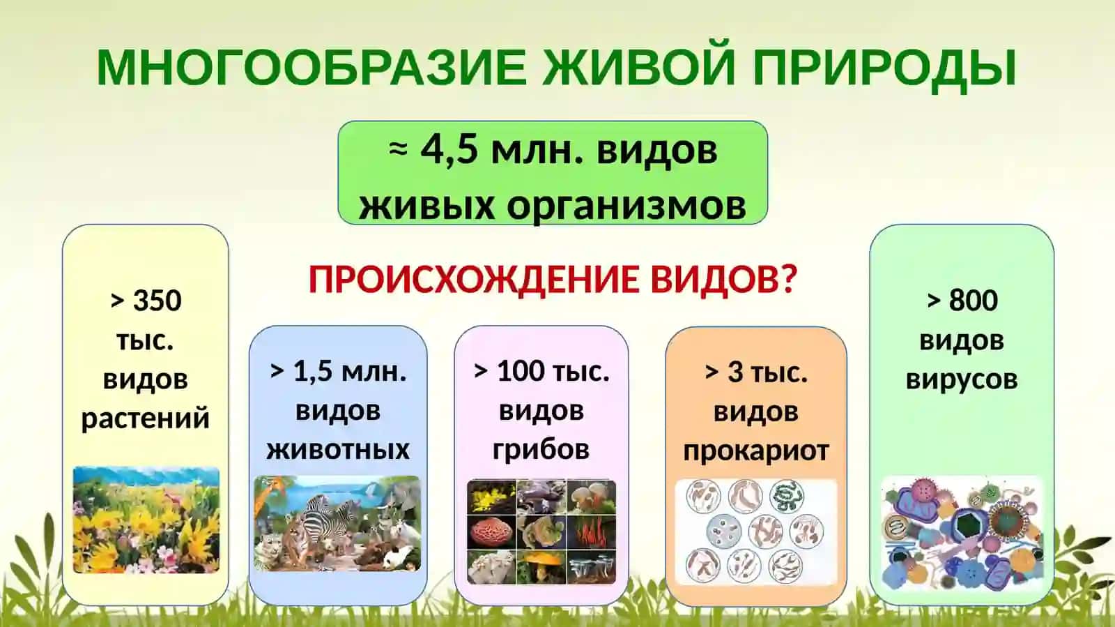 Эволюционная биология, оценка биологического разнообразия 3