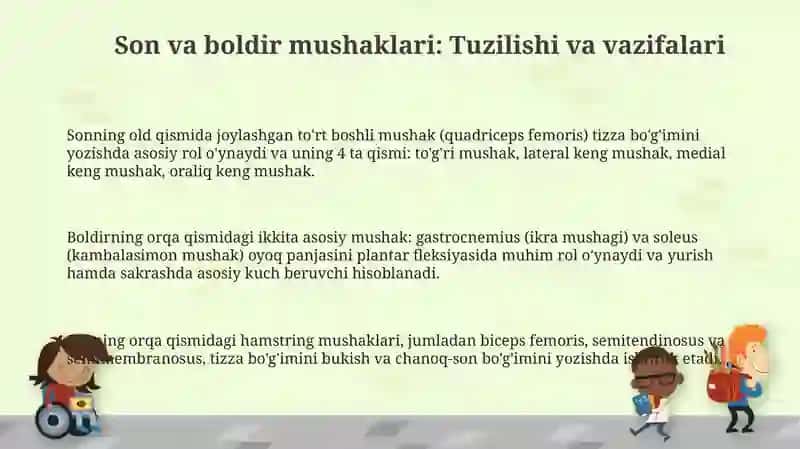 Chanoq va son mushaklari 3