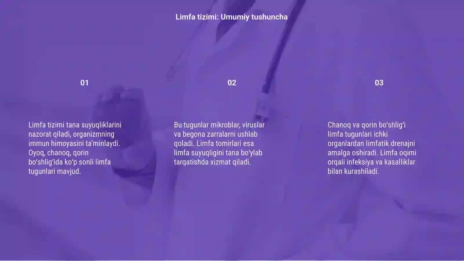 Oyoq, chanoq, qorin boʻshligʻi limfa tomirlari va tugunlari 3