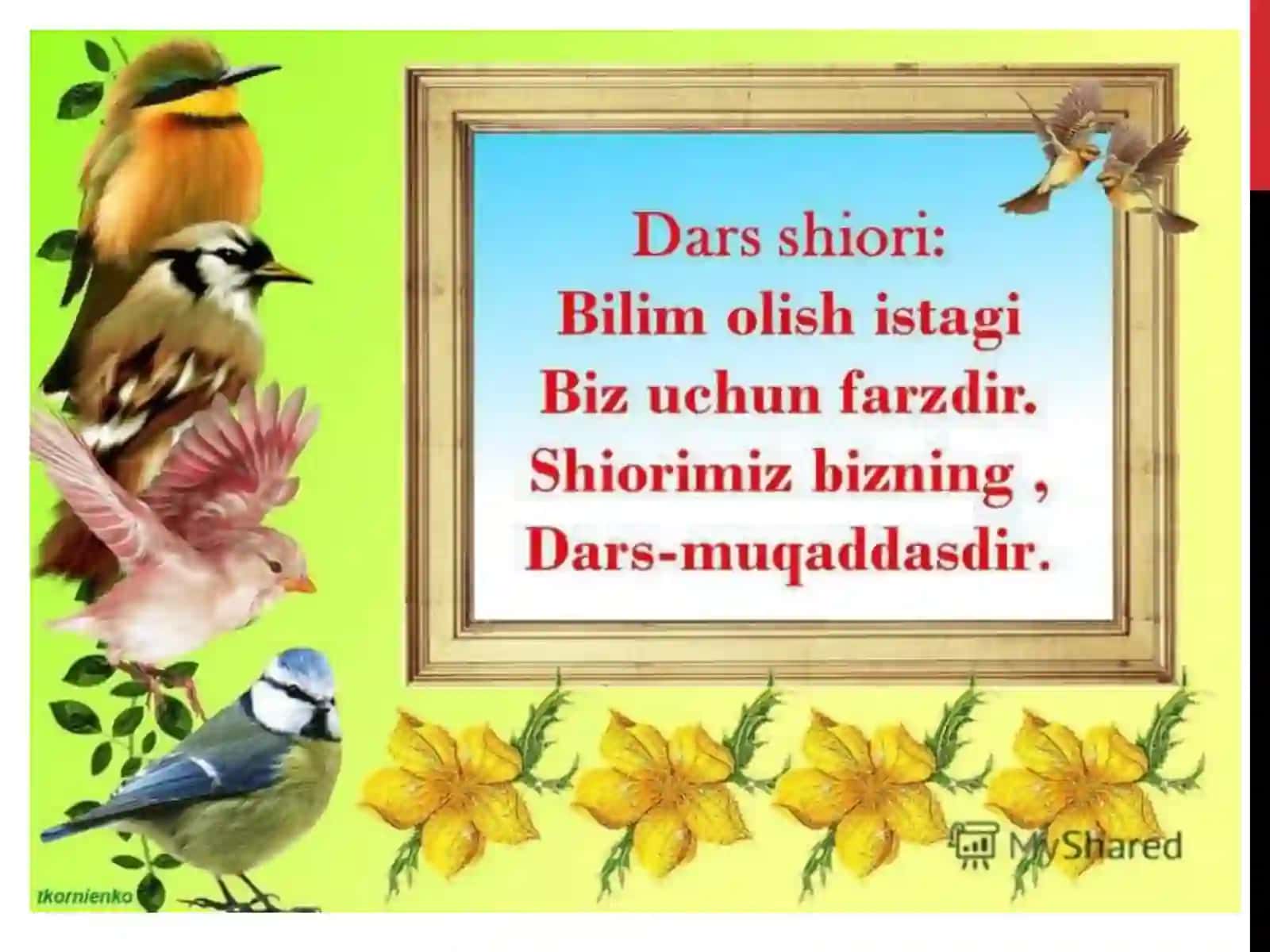 QUYOSH, YER VA OYNI TASVIRLASH 3