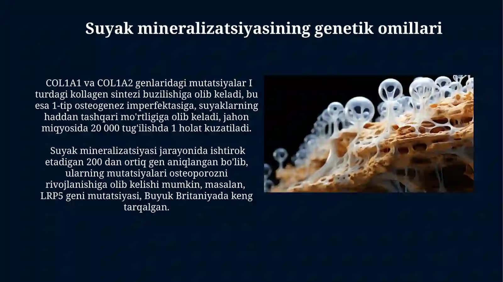 Suyak to‘qimalarining minerallashuvi,uning tartibga solinishi va buzilishlari 3