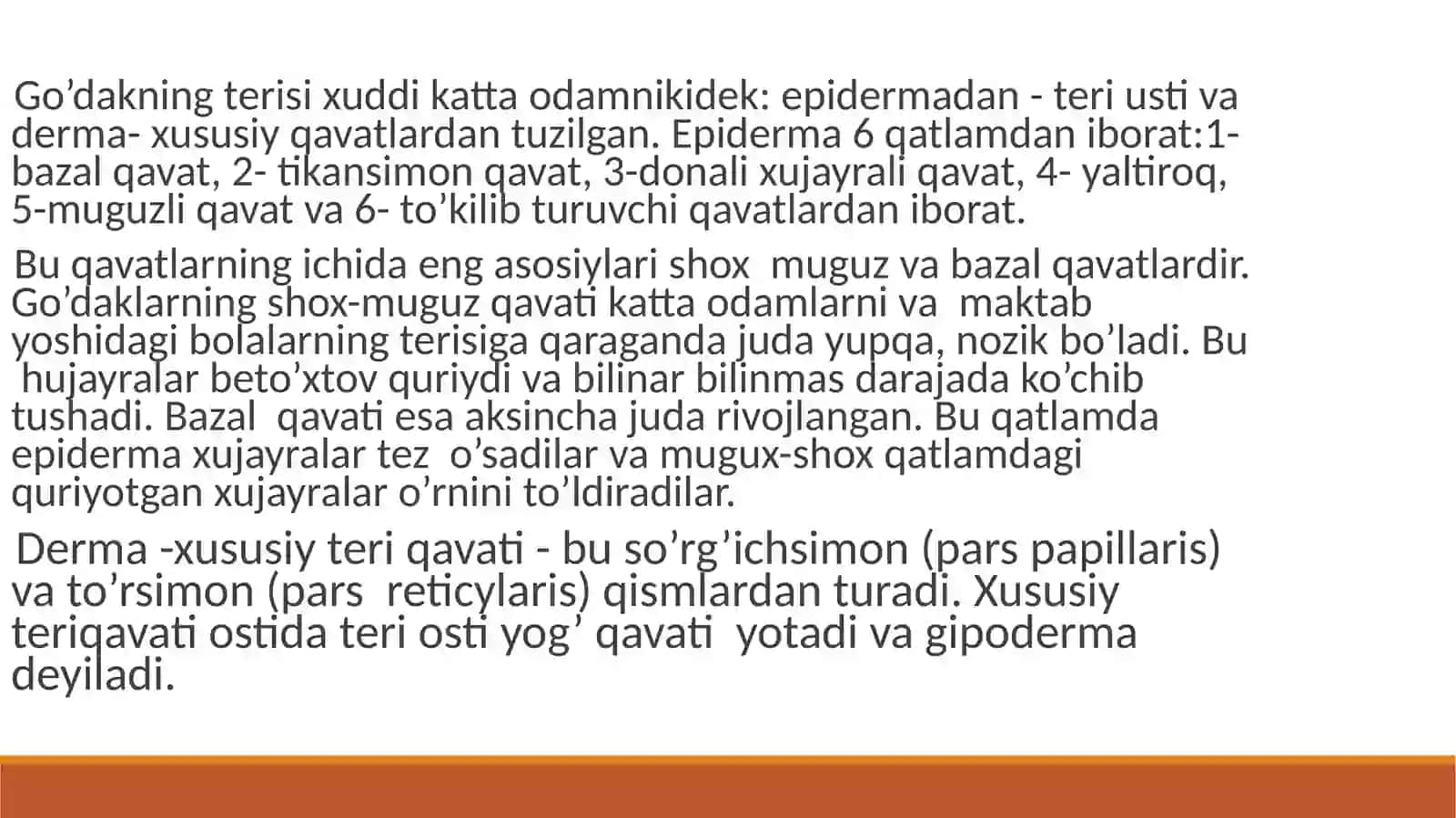 Bolalarda teri morfologik va funksional hususiyatlari 3