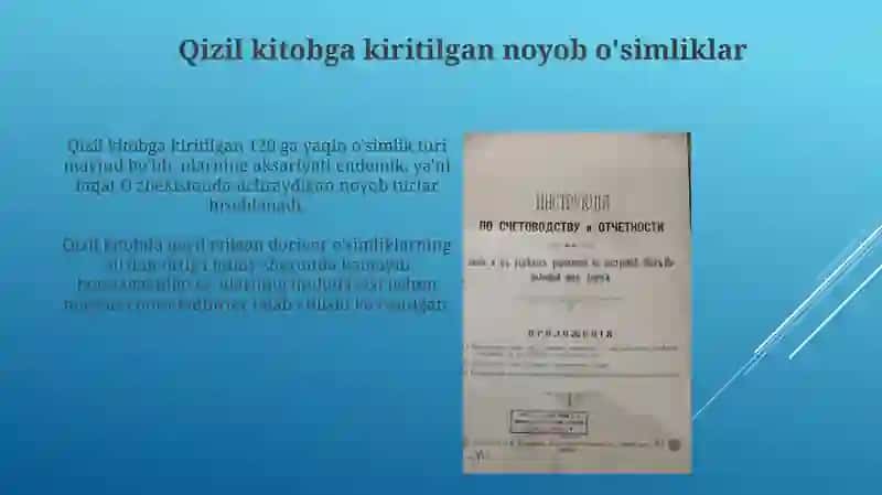 Oʻzbekiston Respublikasi "Qizil kitobi"ga kiritilgan olsinlik vakillari 3
