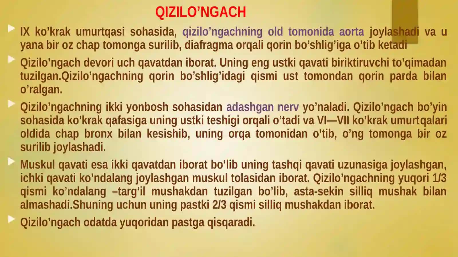 Qizilo'ngach,qorinbo‘shlig‘ia’zolarihaqidaumumiyma’lumot 3