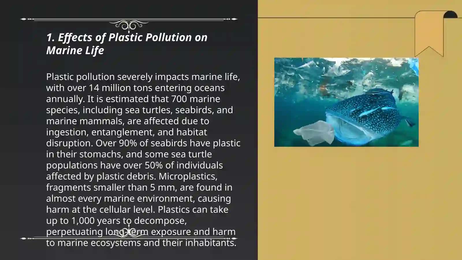 Plastic Pollution 3