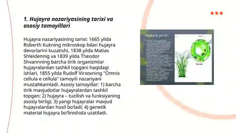 Hujayra tuzilishi.hujayra nazariyasi hayvon va odam xromasomalaring morfofunksional xarakterikasi 3