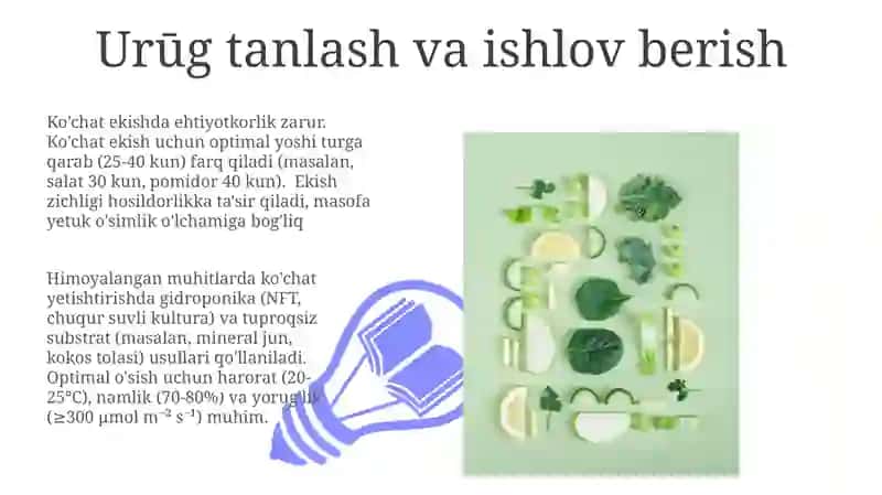 Himoyalangan yerlarda sabzavot kochatlarini yetishtirish usullari 3