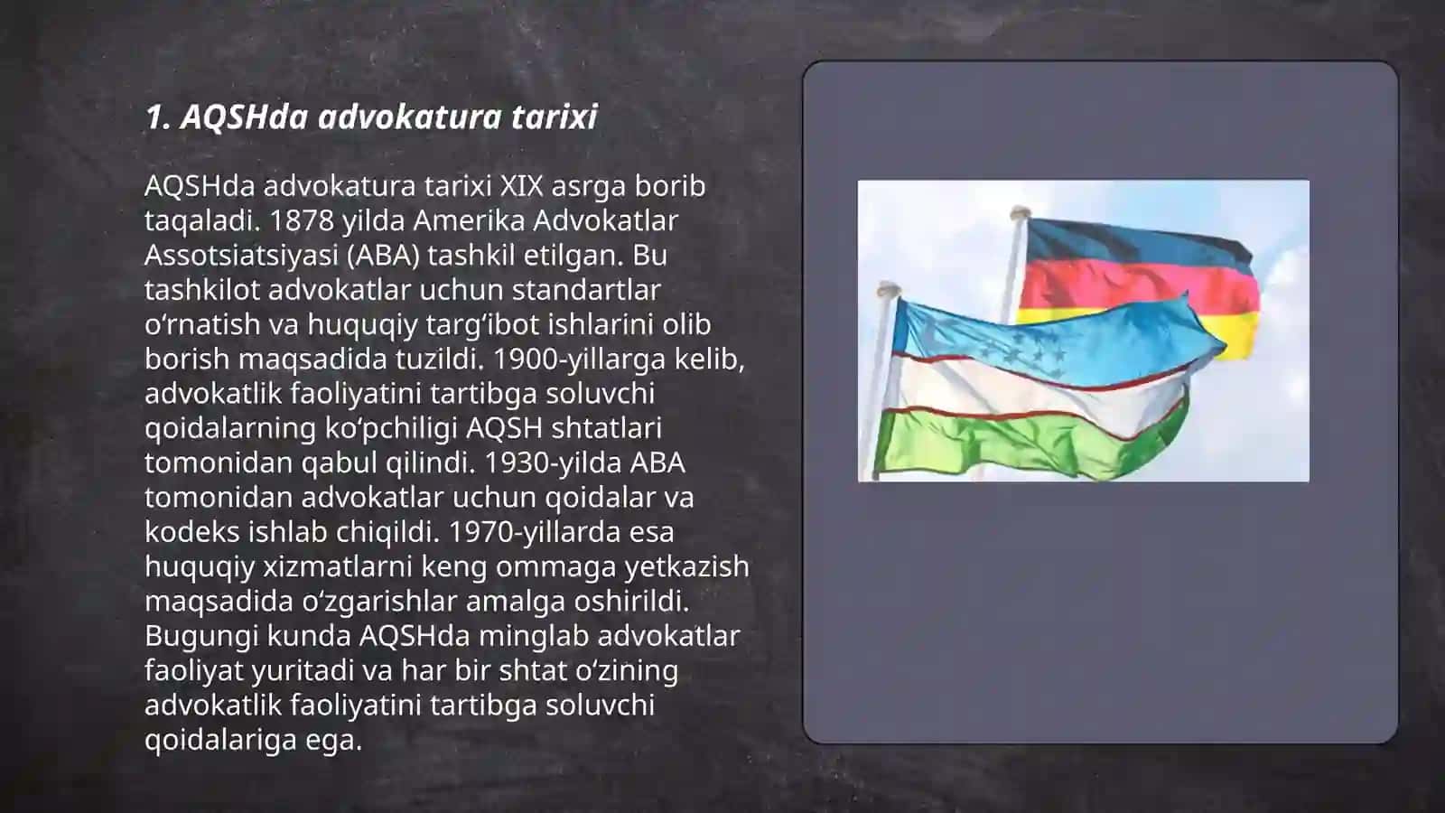 AQSH VA GERMANIYADA ADVOKATURA 3