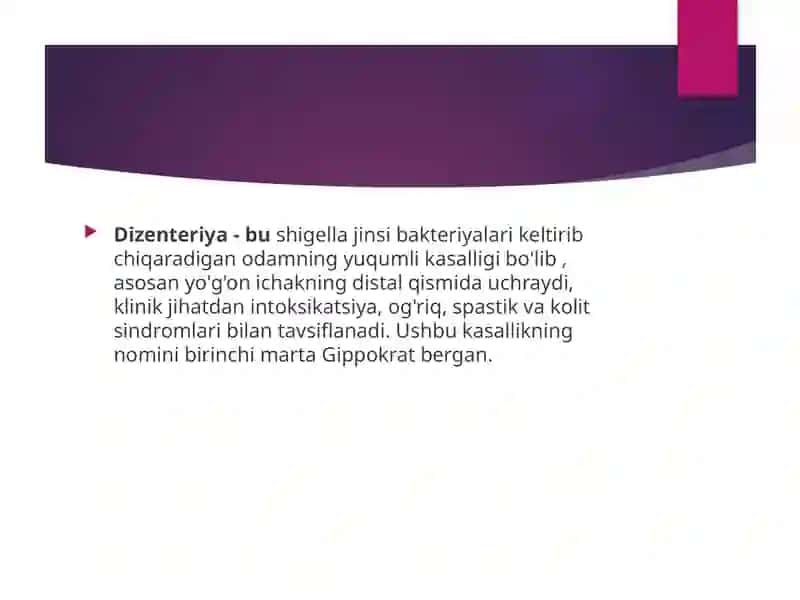 Shigella Bacteria 3