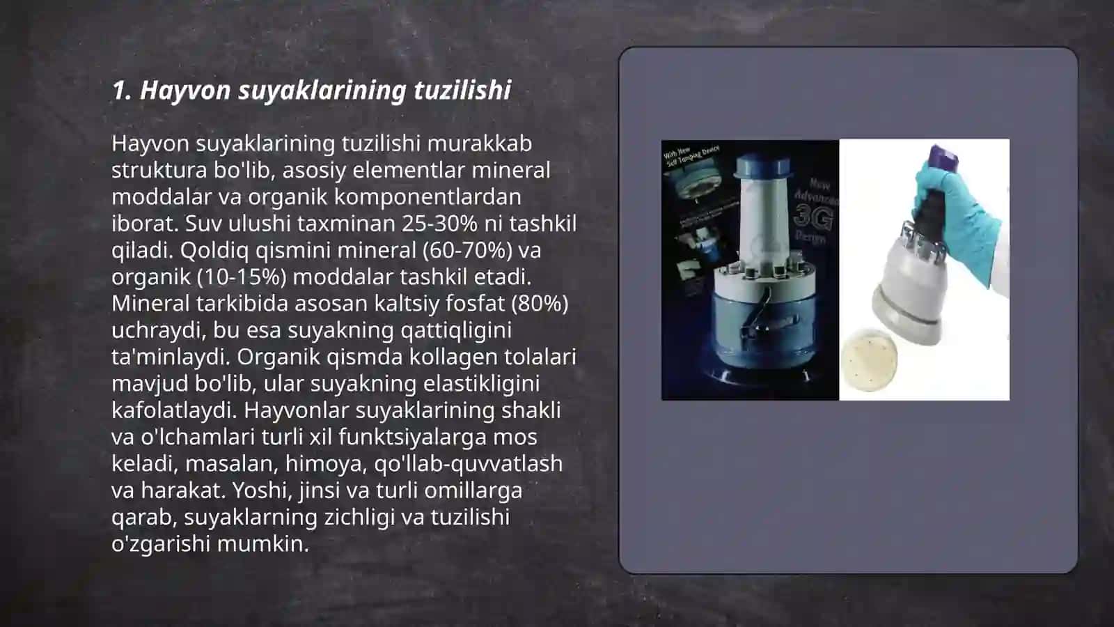 Turli hayvonlar bosh suyagidan preparat tayyorlash 3