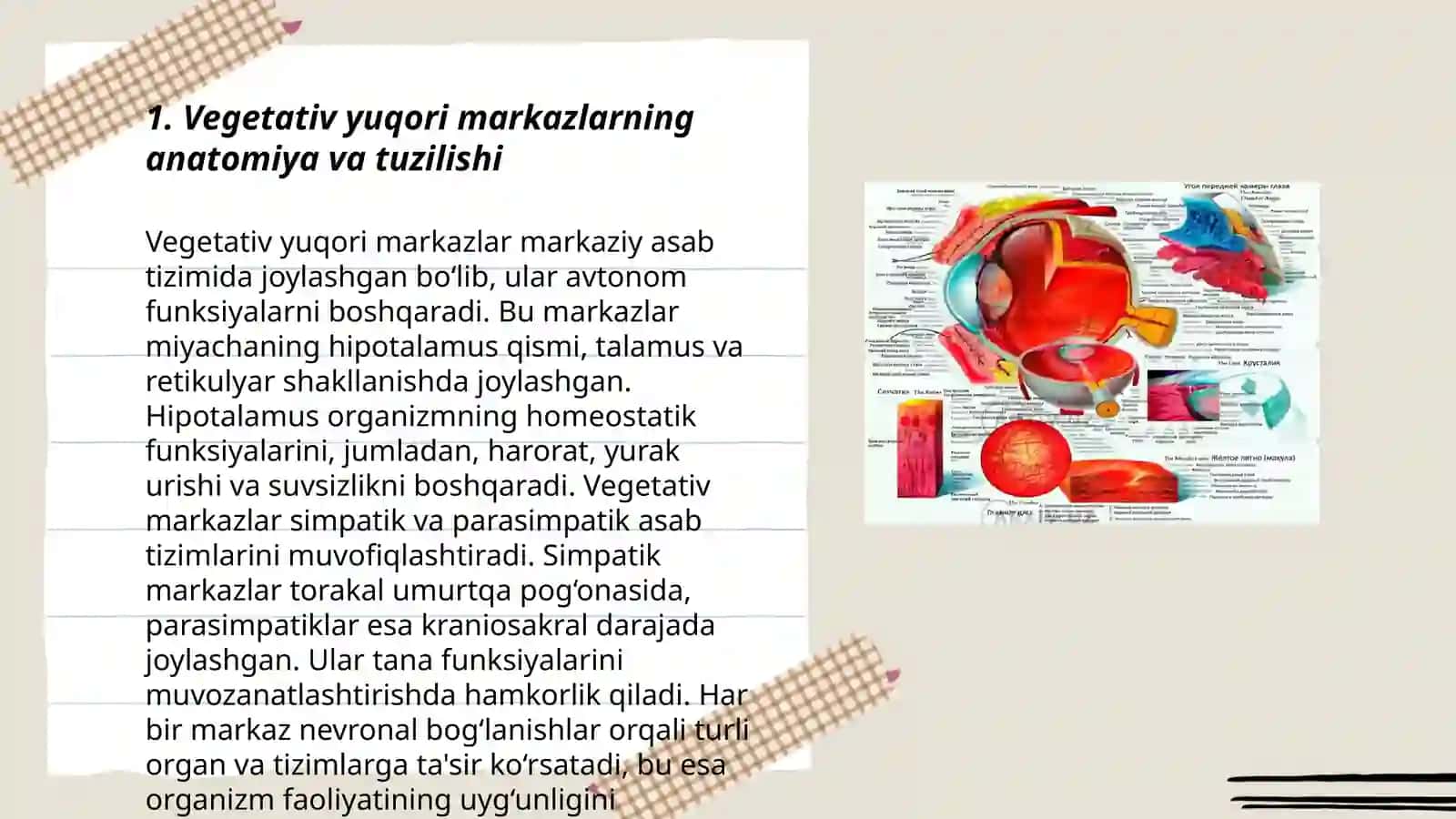 Vegetativ yuqori markazlar va ularning funksiyanal ahamiyati 3