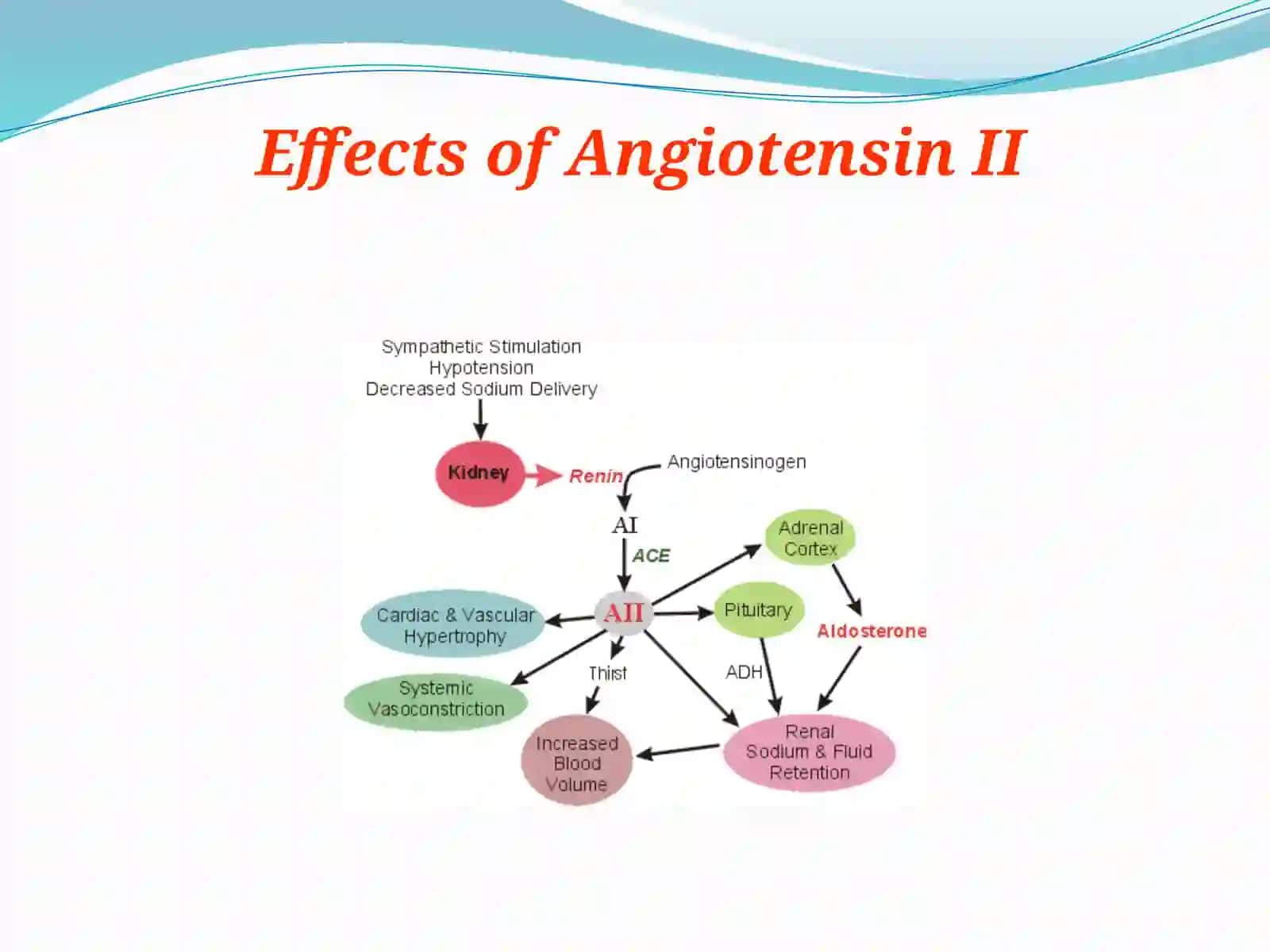 Angiotensin converting enzyme inhibitors 3