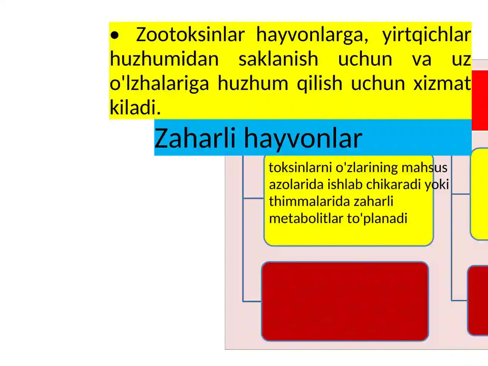 Zaharli hayvonlar 3