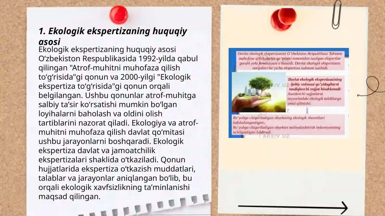 Ekologik ekspertiza qonun hujjatlar, ekologik ekspertiza maqsadlari 3