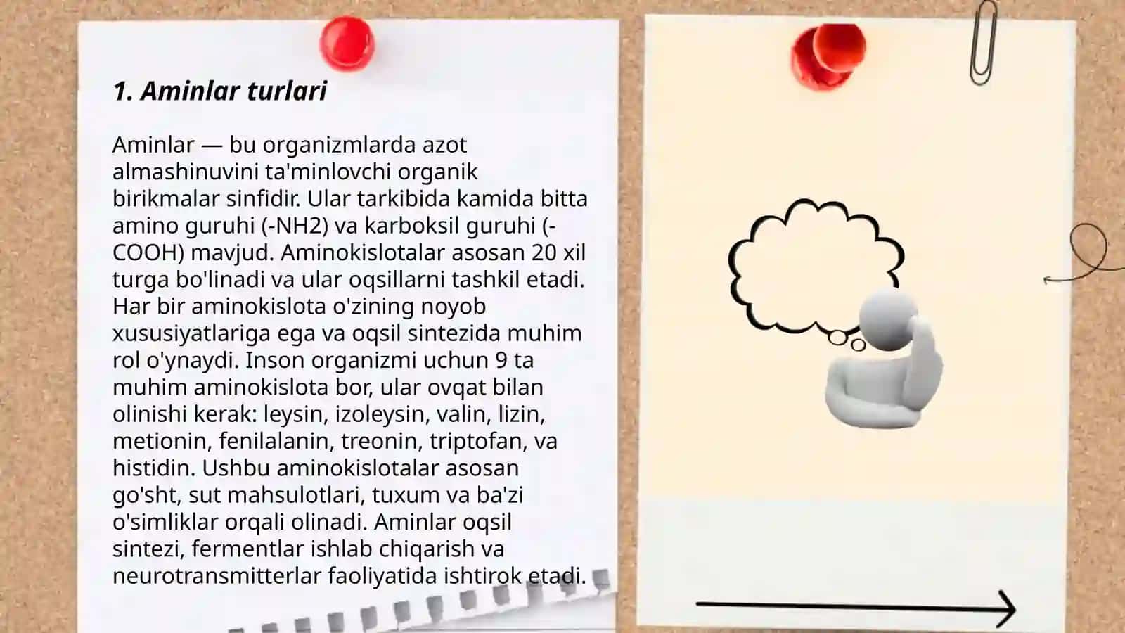 Aminlar turlari 3