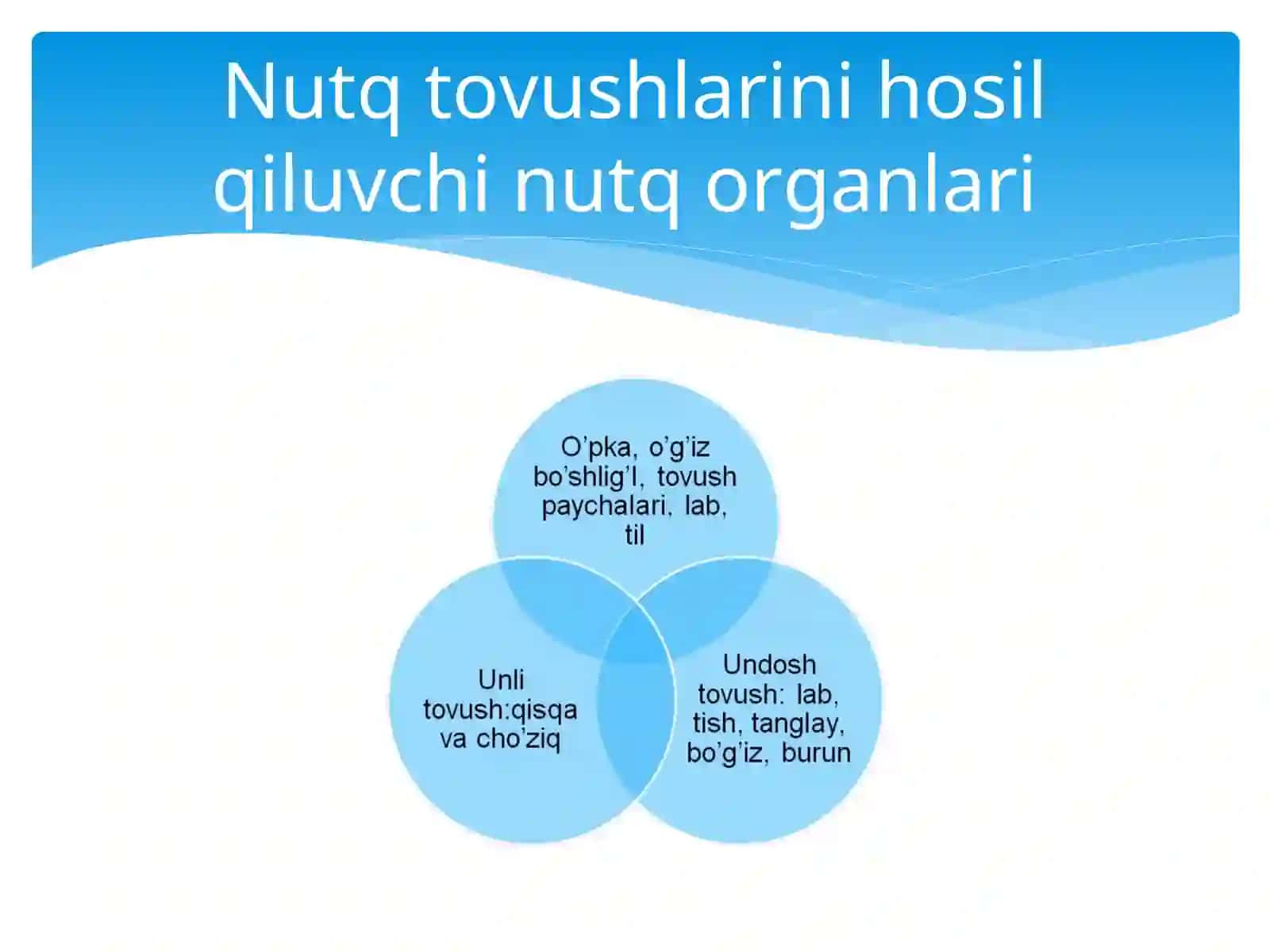 Undosh tovushlar 3