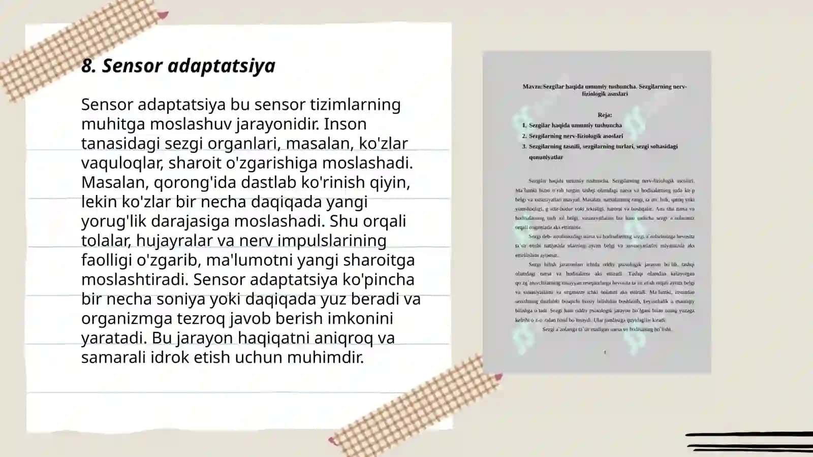 Sezgilarning nerv fiziologik asosi 3