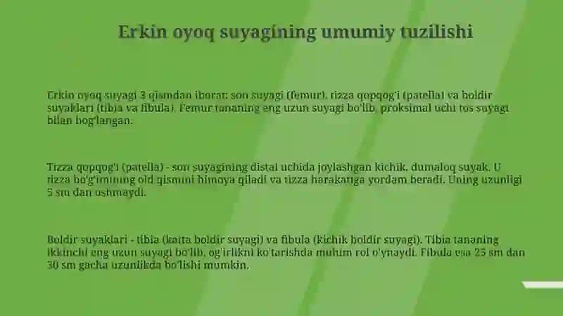 Erkin oyoq suyagi: Umumiy tuzilish va funktsiyalari 3