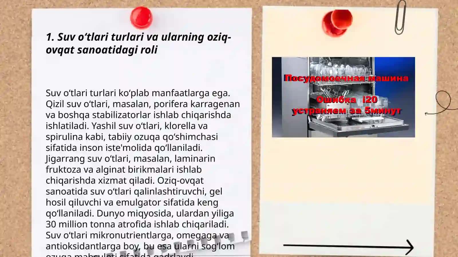 Suv oʻtlari va zamburugʻlarning ahamiyati 3