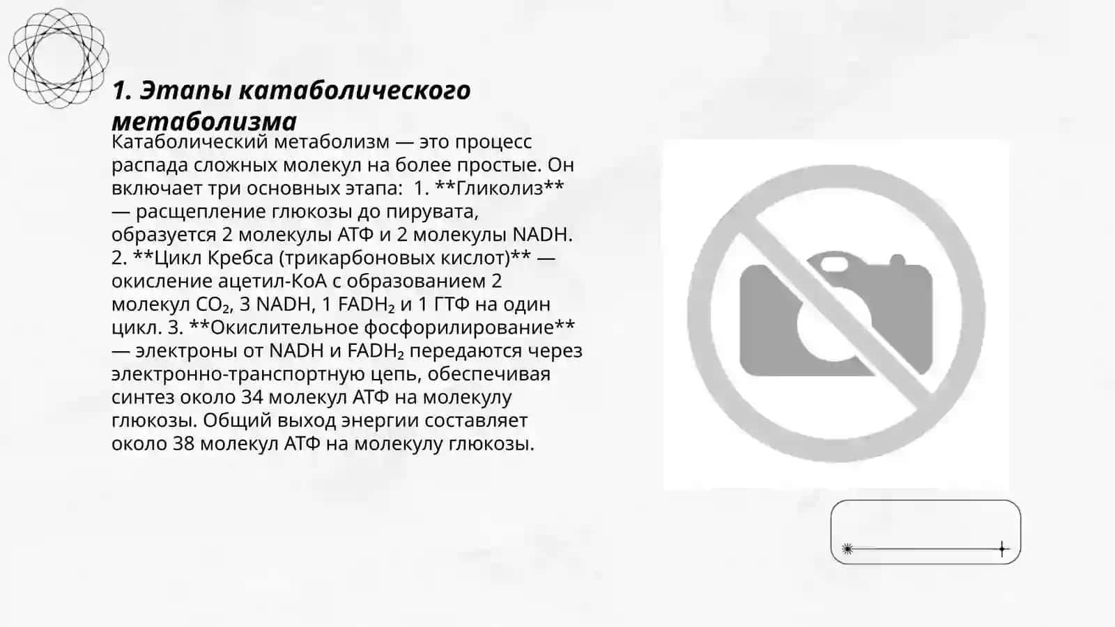 Катаболический метаболизм: производство энергии микробной клеткой 3