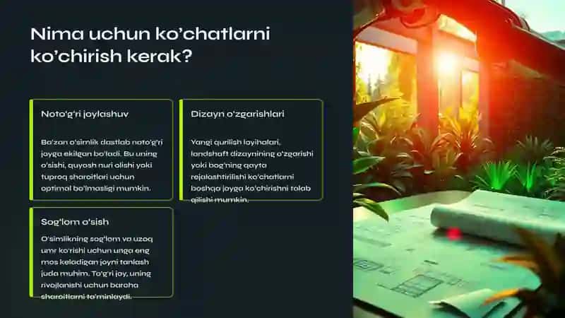 Ko’chatlarni Ko’chirish va Ekish: Muvaffaqiyat Sirlarini O‘rganamiz 3
