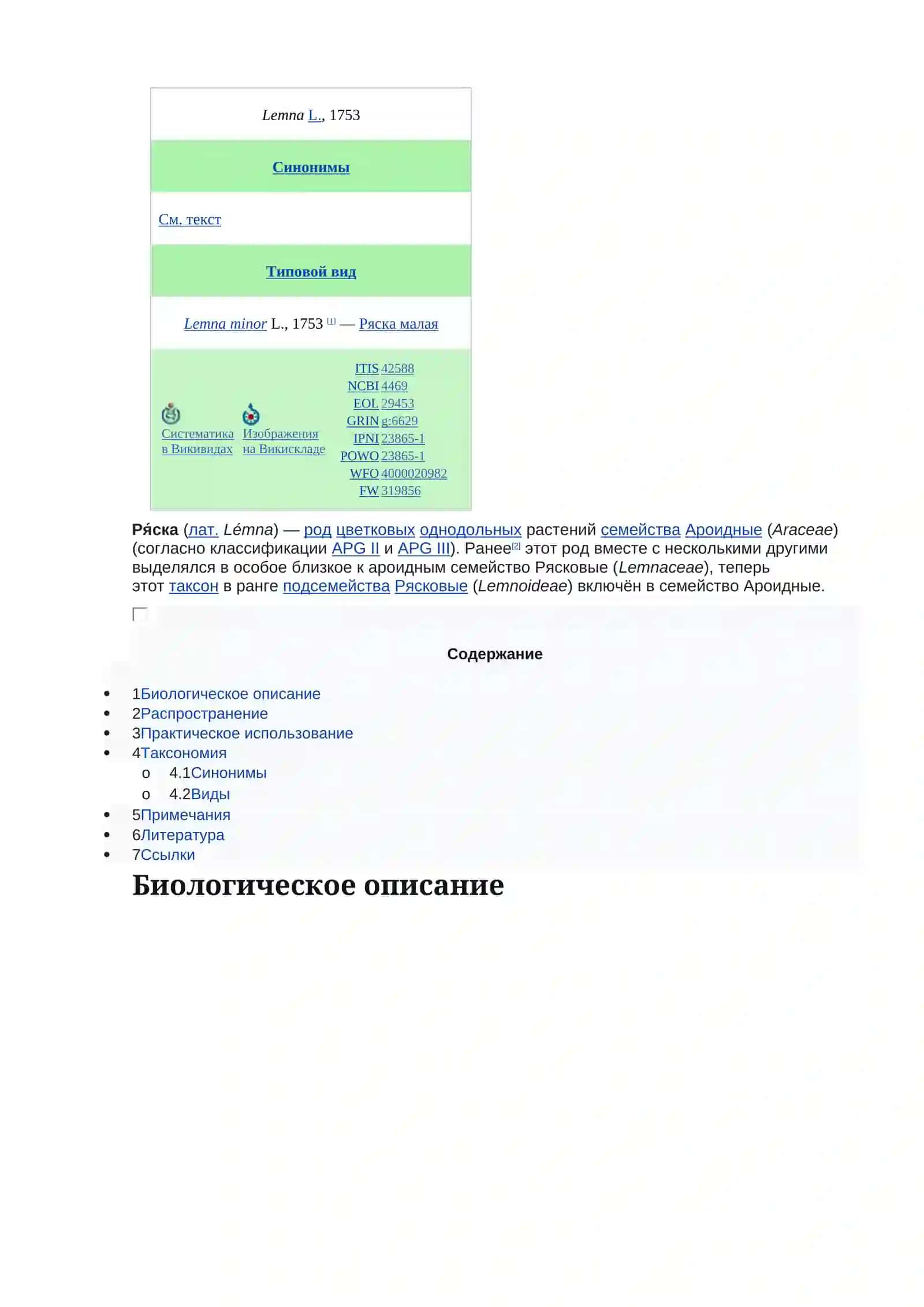 Ряска (Лемна) 3