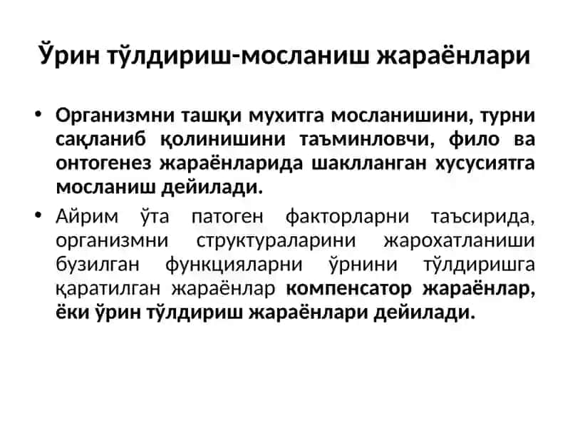 Ўрин тўлдириш-мосланиш жараёнлари 3