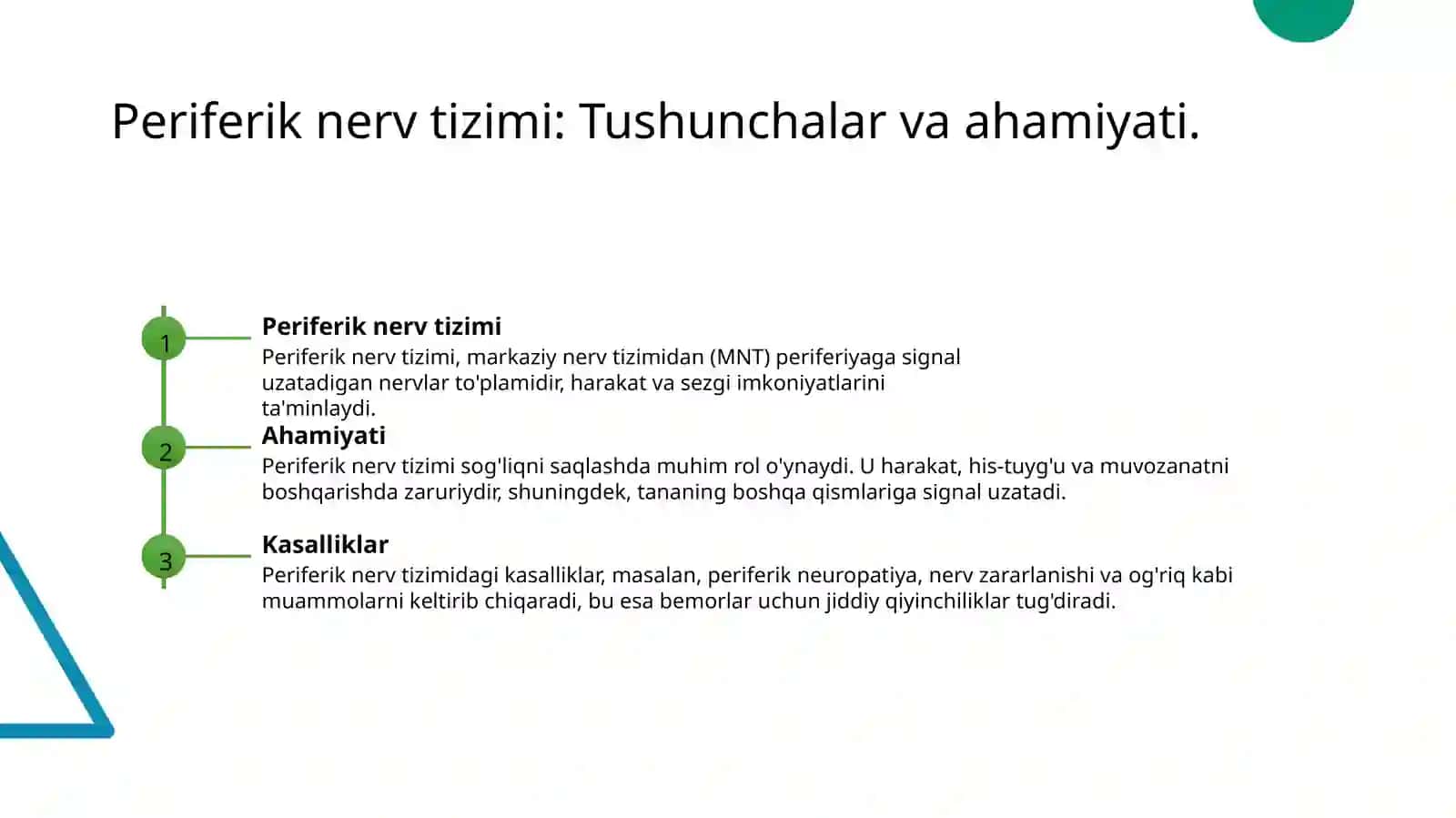 Periferik nerv tizimi 3