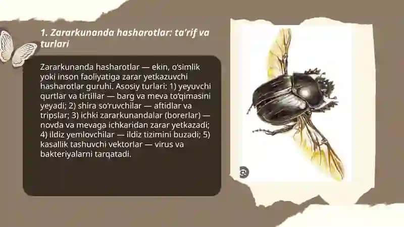 Umurtqasizlar zoologiyasi 3