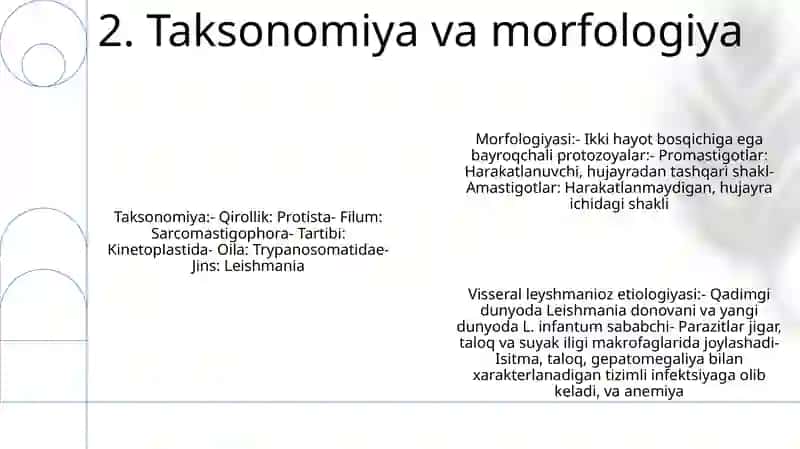 Leyshmaniyalar Avlodi.Teri Va Visseral Leyshmaniozning QoʻZgʻAtuvchisi 3
