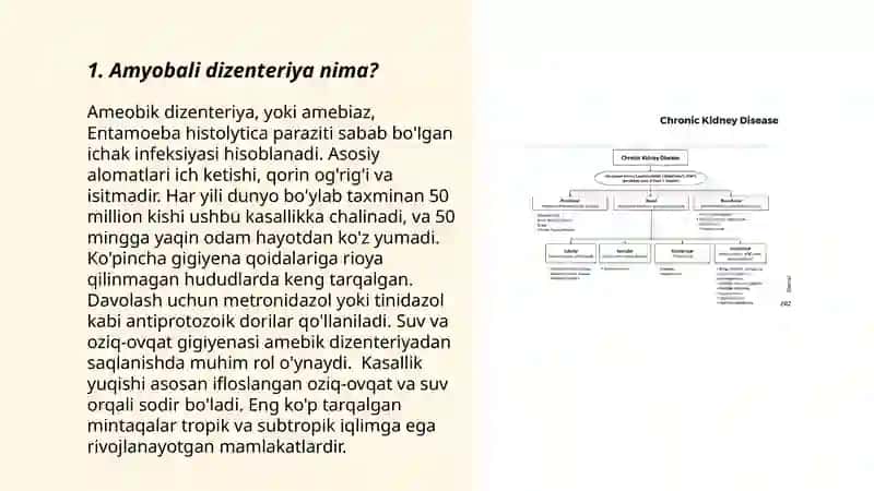 Amyobali dizenteriya va ular keltirib chiqargan kasalliklar, laborator tashhisi 3