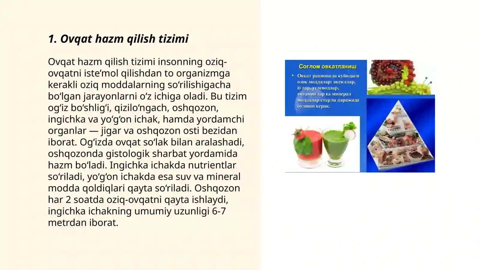 Ovqatlanish bilan bog’liq fiziologik sistemalar 3