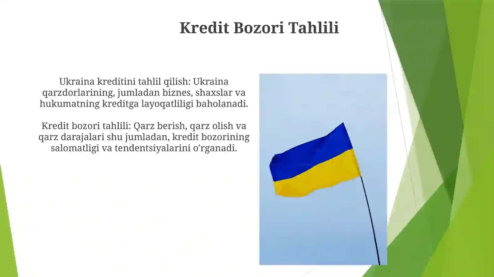 Ukrainiyaning pul kredit va monetar siyosati tahlili 3