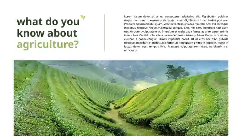 Agriculture 3