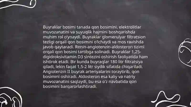 Buyraklar bosimi fiziologiyasi 3