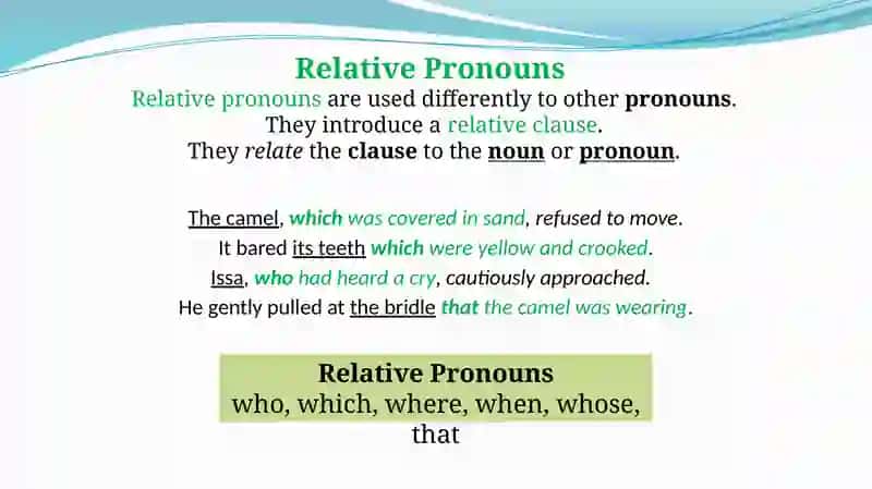 Relative Clauses 3