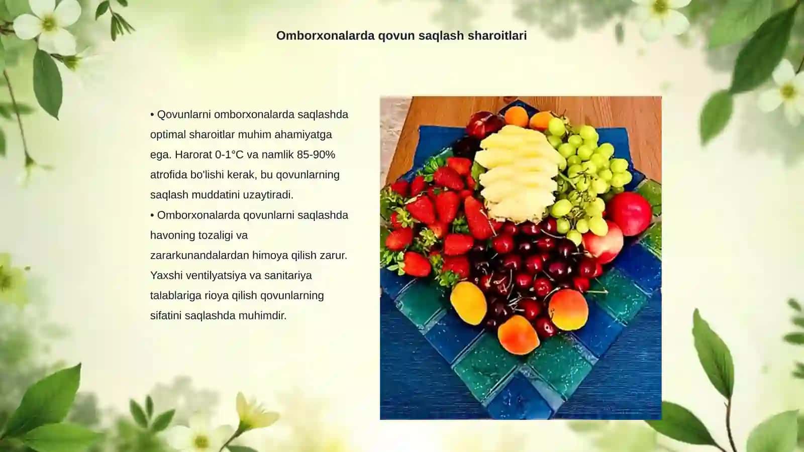 Omborxonalarda qovun va tarvuzni saqlash davridagi kasalliklar bilan tanishish 3