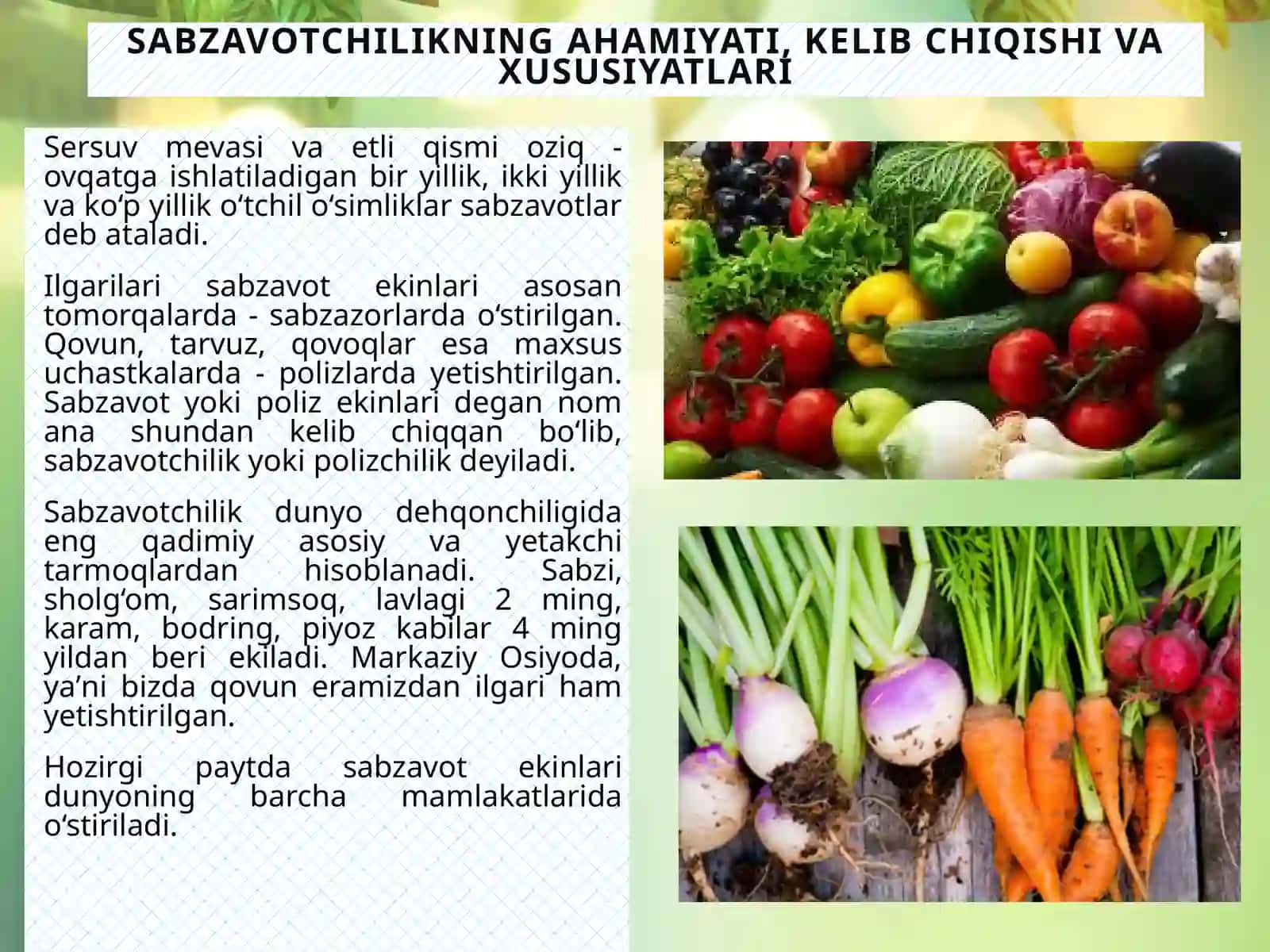 Sabzavotchilik fanining ahamiyati va istiqbollari 3