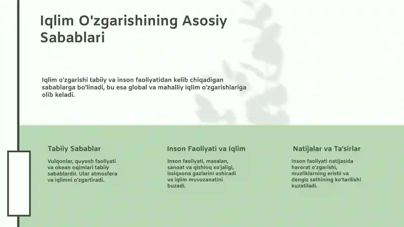 Ekologiya fanidan mustaqil ish taqdimoti 3